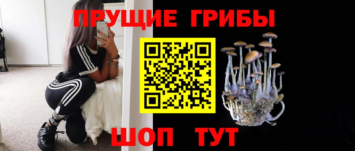 Павлово  Псилоцибиновые грибы мухоморы  Вход с VPN 